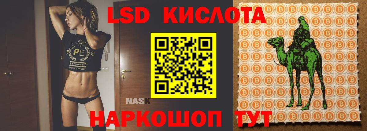 Лсд 25 экстази кислота  LSD-25 экстази  Горно-Алтайск  ЛСД экстази кислота  ссылка на мегу tor  Вход с VPN 